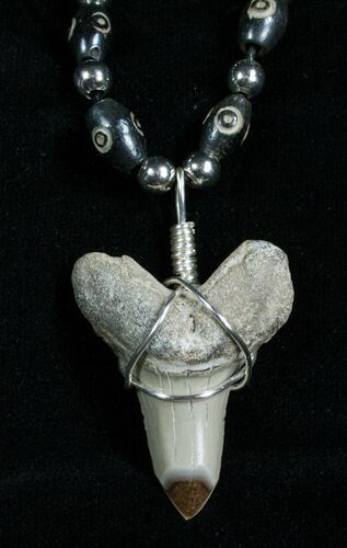 Fossil Mako Tooth Necklace #4871